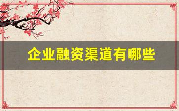 企业融资渠道有哪些 不看查询(企业融资渠道有哪些 不看查询结果的)_https://www.gfdzclz.com_北交所_第1张
